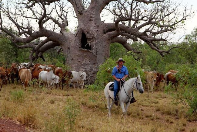 Rangelands reform consultation paper available for public comment Rangelands reform consultation paper available for public comment